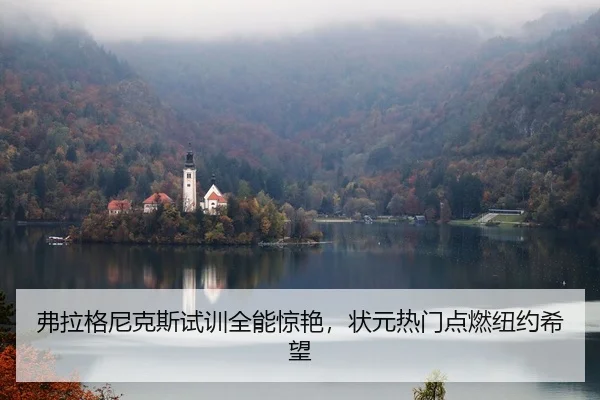 弗拉格尼克斯试训全能惊艳，状元热门点燃纽约希望